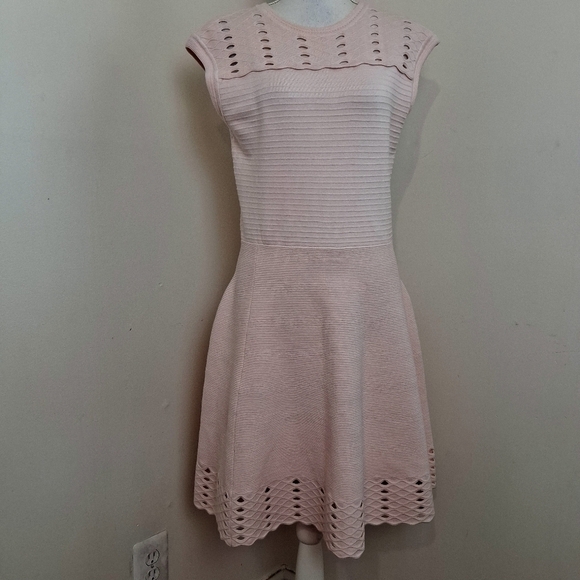 Ted Baker Jacquard Cut Out Baby Pink Skater Dress Size 4 U.S 8 - Picture 2 of 14